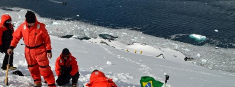 Cientistas mineiros estudam fungos da Antártica em busca de medicamento contra dengue